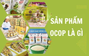 Sản phẩm OCOP là gì