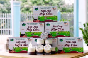 Sữa chua nếp cẩm Mộc Châu - Đặc sản OCOP Mộc Châu - BIGA OCOP