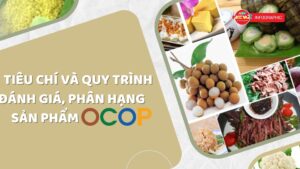 Tiêu chí công nhận sản phẩm OCOP - BIGA OCOP