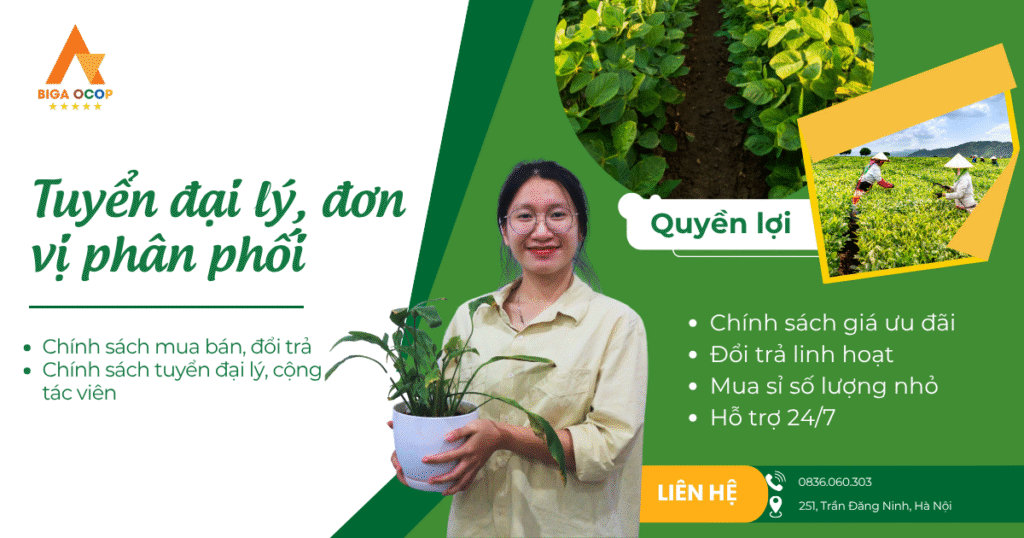 Tuyển đại lý, đơn vị phân phối