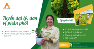Tuyển đại lý, đơn vị phân phối