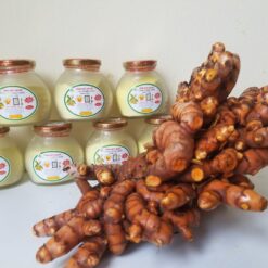 Tinh bột nghệ Hoàng Minh Châu