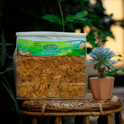 Cơm cháy Cố Đô đậm vị truyền thống