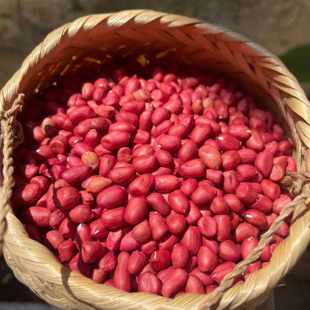 Lạc Đỏ Chà Nưa Điện Biên