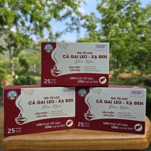 Trà cà gai leo - xạ đen