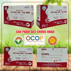 TRÀ CÀ GAI LEO - XẠ ĐEN BẮC KẠN - Ocop 3 sao