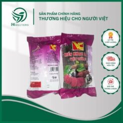 Miến Khoai Lang Việt Cường