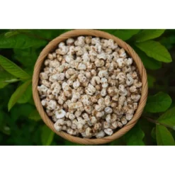 Bỏng ngô nếp cổ (Vị nguyên bản)