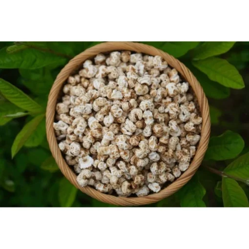 Bỏng ngô nếp cổ (Vị nguyên bản)